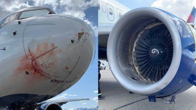 星空体育官网-爵士将帅回忆空中惊魂：引擎爆炸 飞机剧烈摇晃